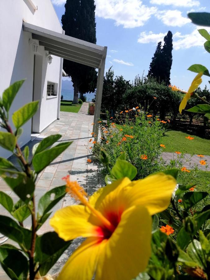 Villa Maria Epidaurus Exteriör bild